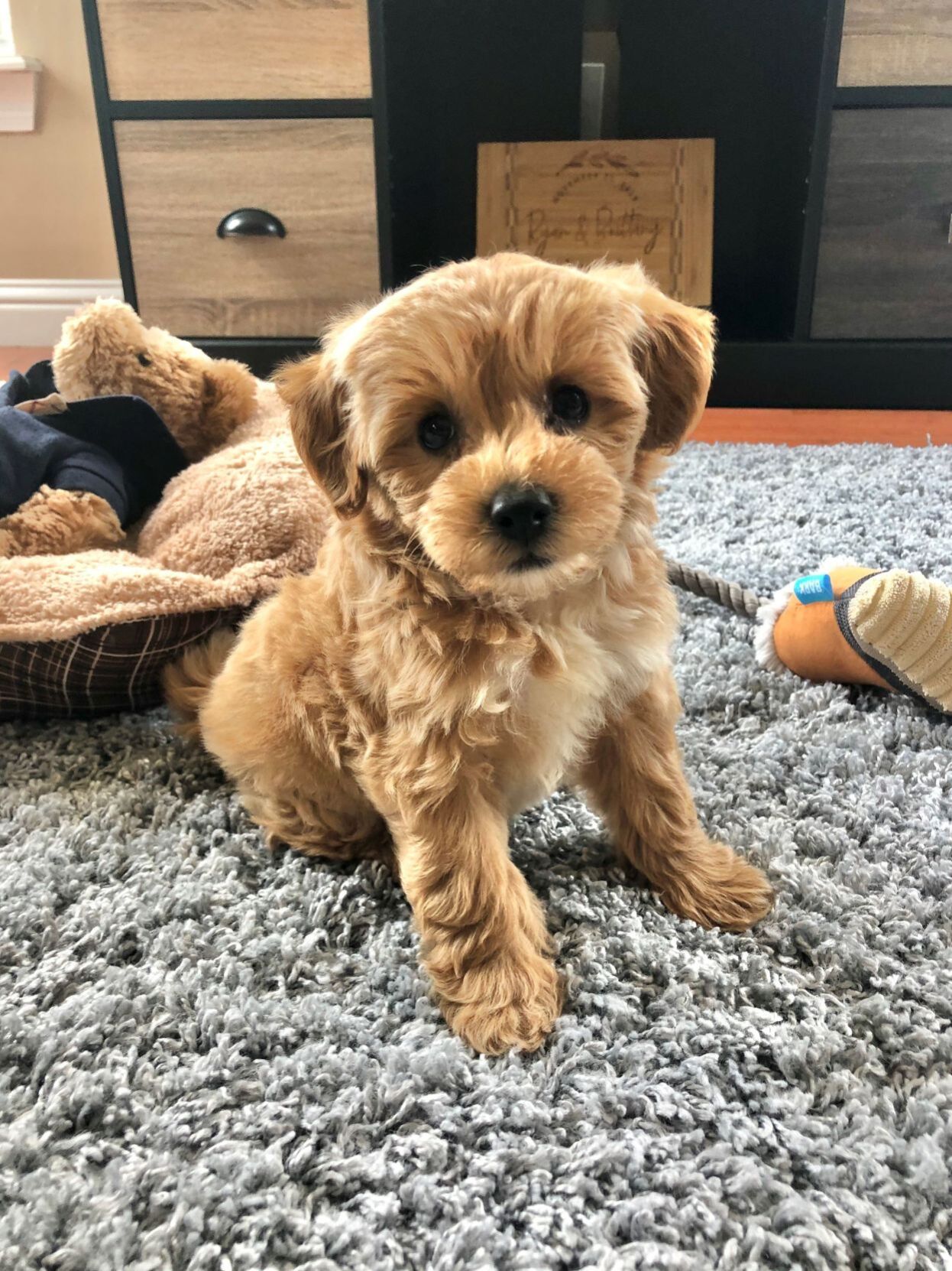 Luna